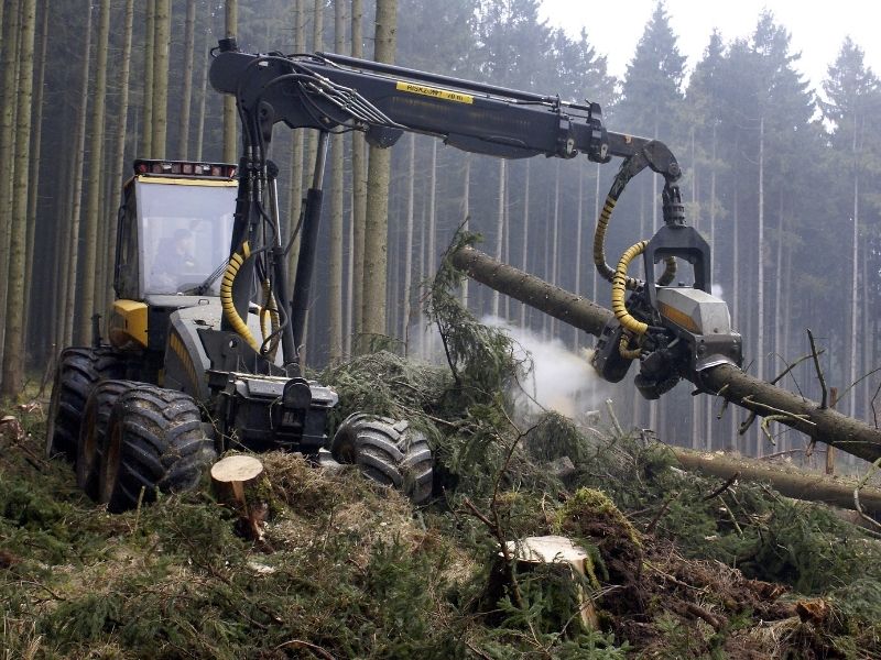 Holzvollernter - nachhaltiger Wald